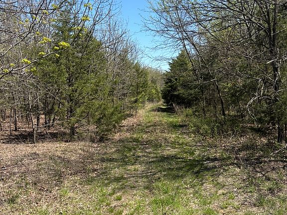 5th image of 389 Road