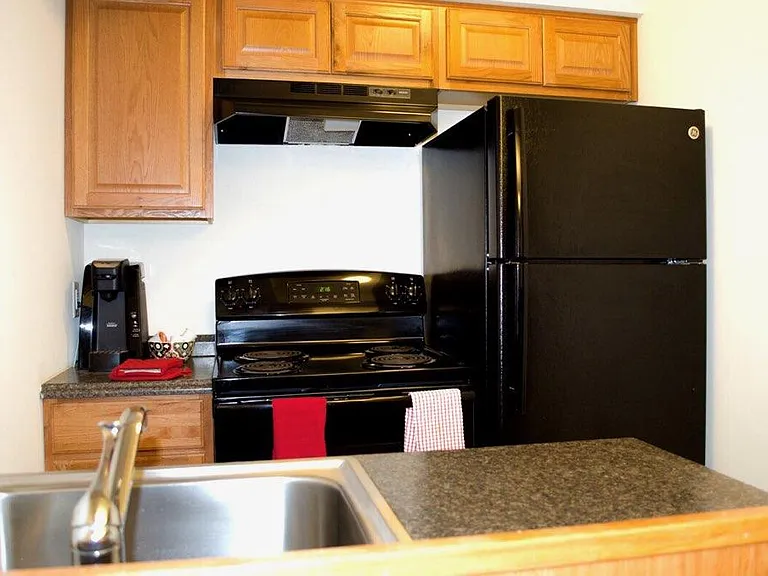 1br furnished - Kitchen