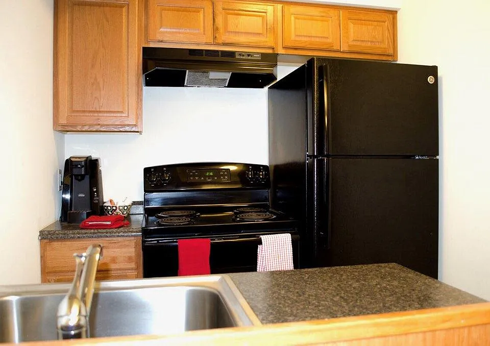 1br furnished - Kitchen