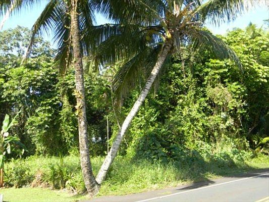 1st image of N Kahakai Blvd