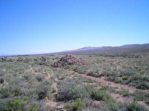 3rd image of 391 Stageline Loop