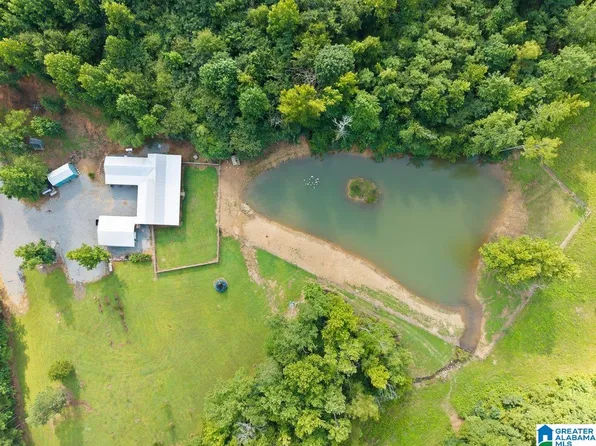1115 Mountain Gap Rd, Blountsville, AL 35031