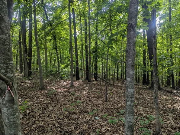 12 Selkirk Cir #5 & 6, Bella Vista, AR 72715