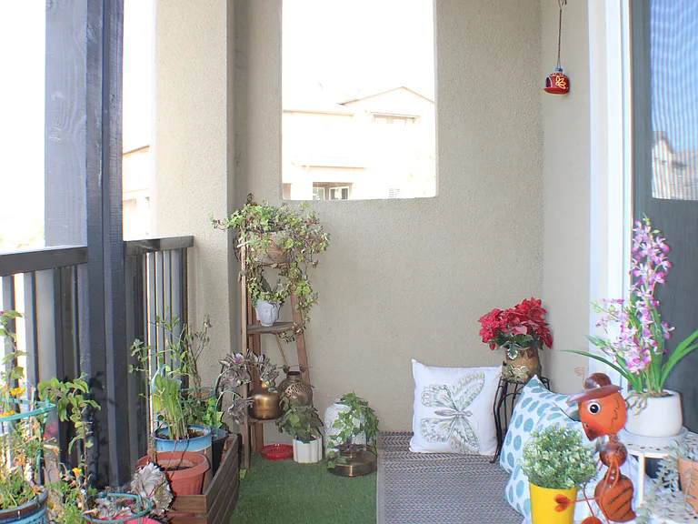 427 Snap Dragon St — Photo 19