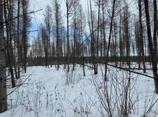 County Road 400 Rd PARCEL B, Perronville, MI 49873