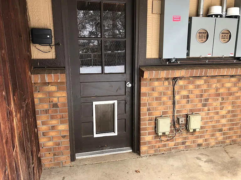 Back yard door with dog door