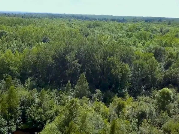 LOT Snaptail Trl E #C, Bovey, MN 55709