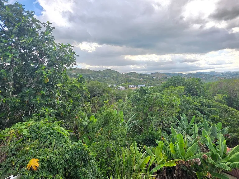Bo. Llanos, Sector El Juicio, Carr. 725, Km 5.5 — Photo 13