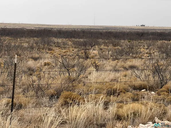 N Pearl Valley Rd, Hobbs, NM 88240