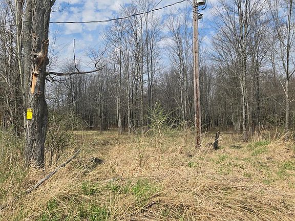 5th image of W Stancliff Rd