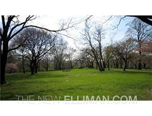 Sold by Douglas Elliman | media 13