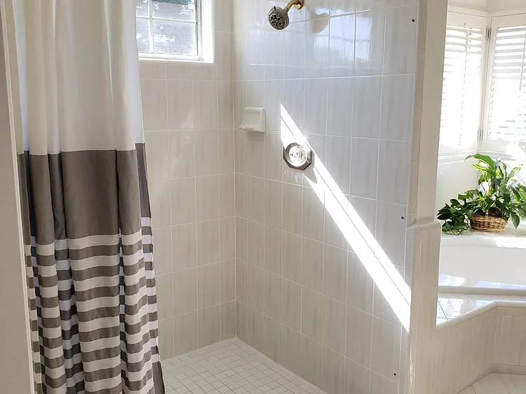 Master suite shower