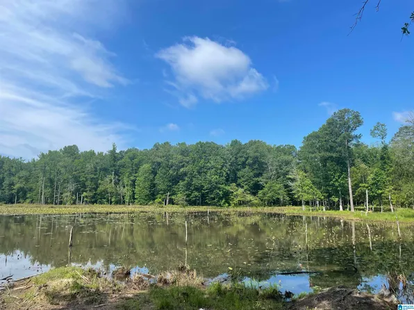 7 Gamble Rd #4, Woodstock, AL 35188