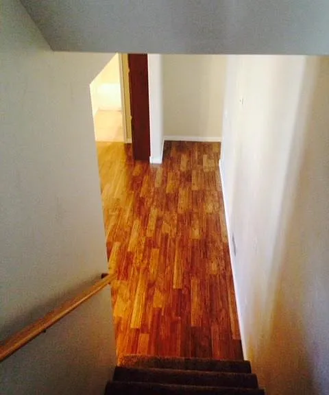 7858 Susans Cir #LOWERLEVEL — Photo 3