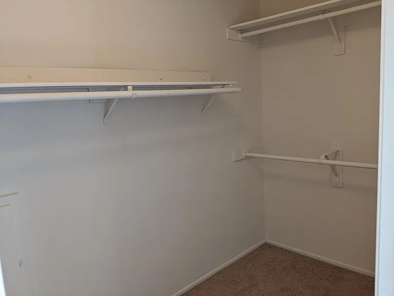 11778 Mount Gunnison Ct — Photo 3