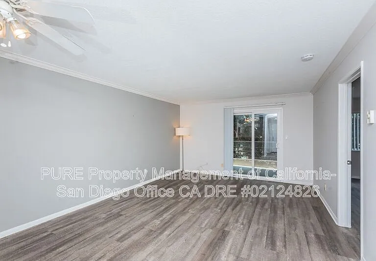 7405 Charmant Dr #2122 — Photo 4