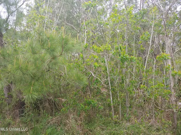 N Huron St Lot 35, Bay Saint Louis, MS 39520