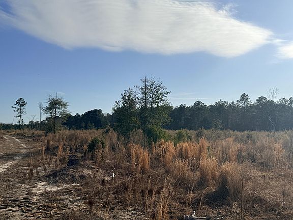 3rd image of 0 Festival Trail Rd