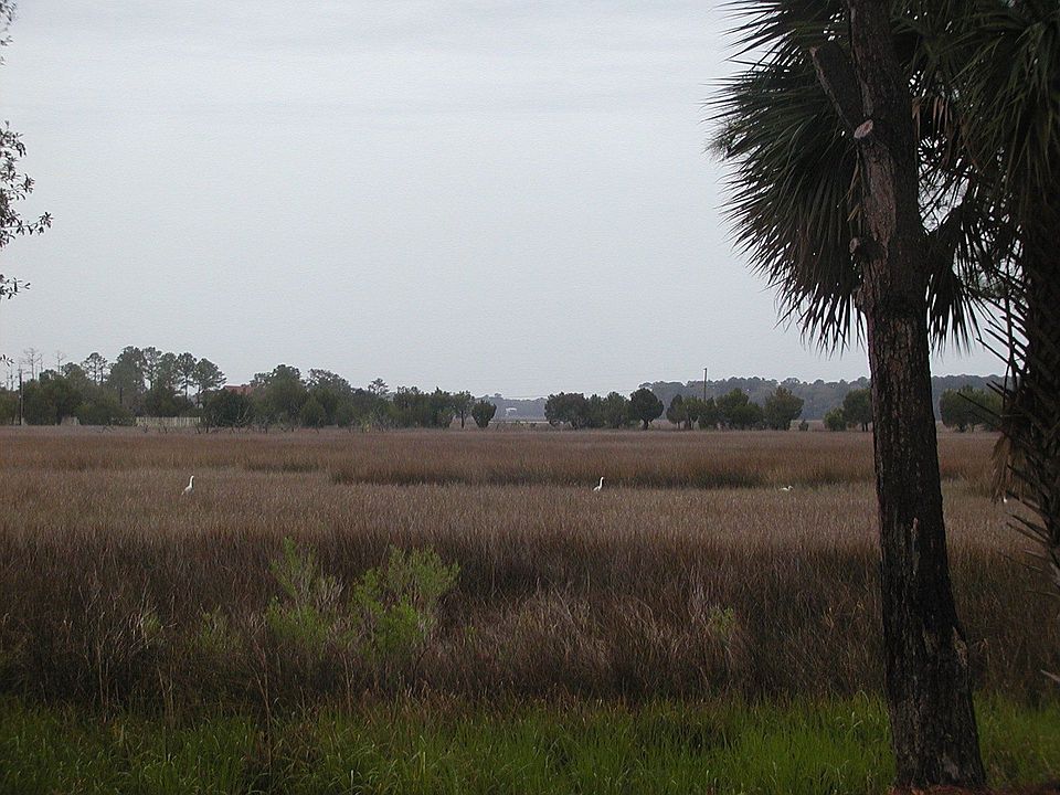Marsh View from Porch