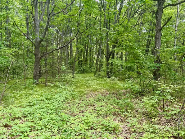 207 Middle Ridge Rd, Brighton, ON K0K 1H0