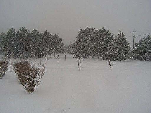Snowy view front porch
