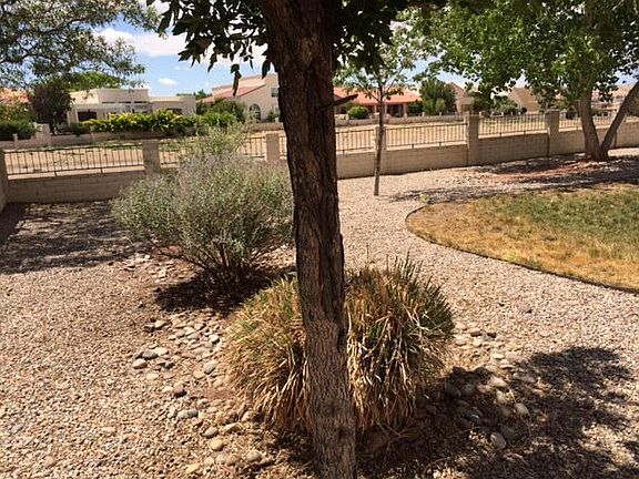 305 spyglass back yard 3