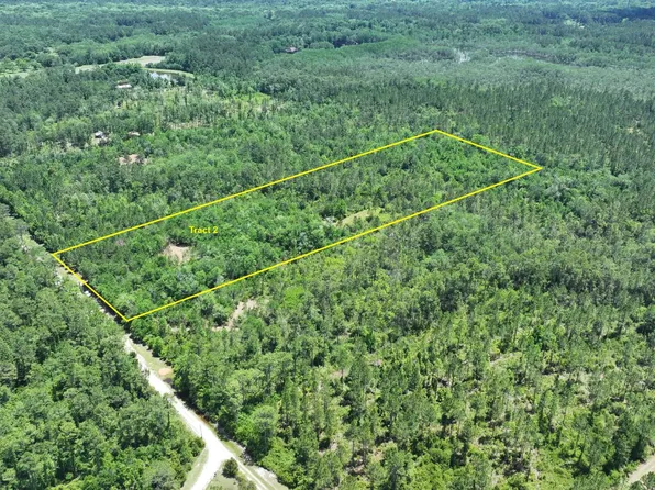 Haskins Dr, Vernon, FL 32462