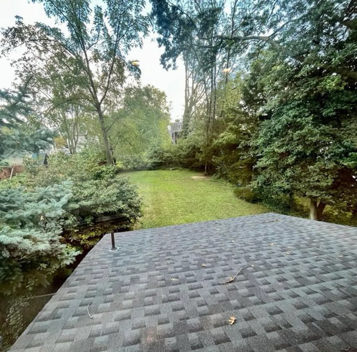 2 bed, 1100 sqft, $2,400 — Photo 3
