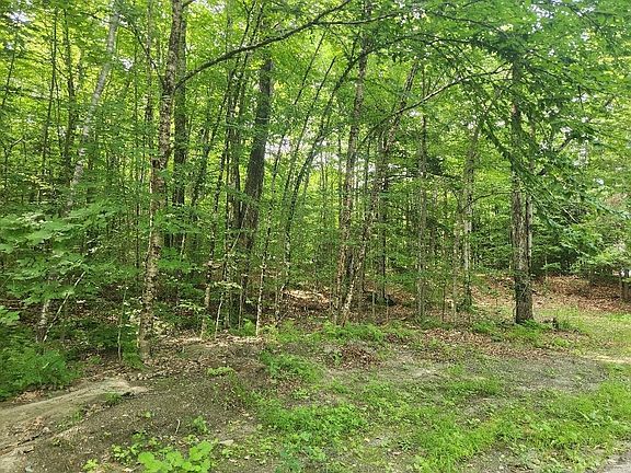 3rd image of 0 Beechwood Drive