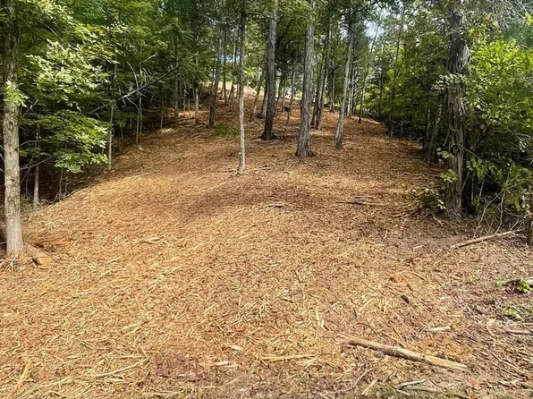 0 Stone Bridge Dr, Dandridge, TN 37725