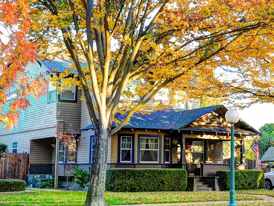 Beautiful Tree Lined Street