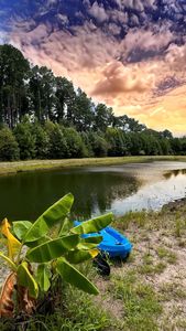 7895 Steamboat Landing Rd, Edisto Island, SC, 29438