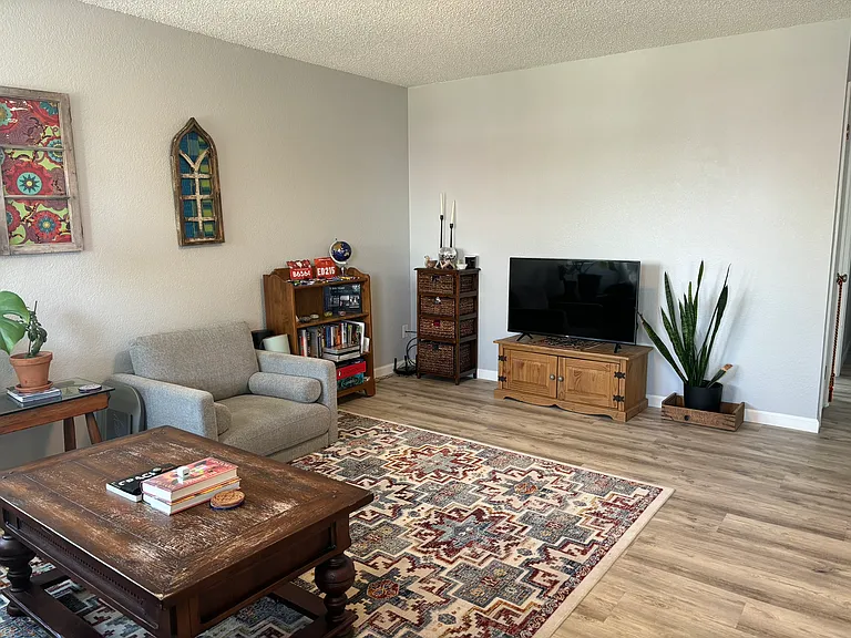 Large living room