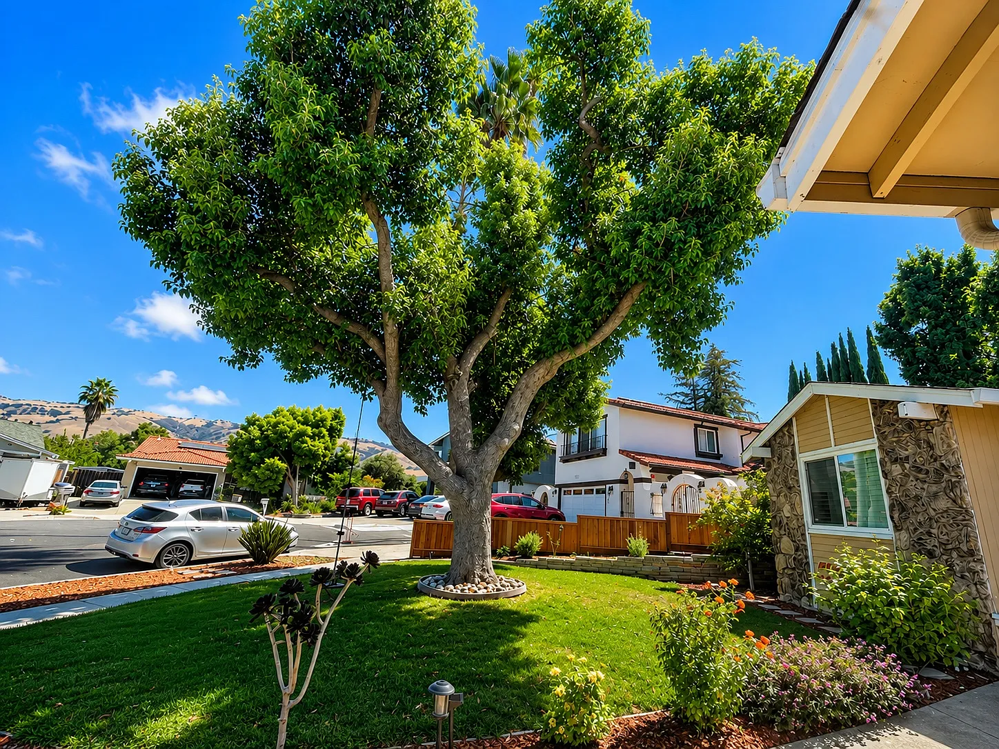4 bed, 1655 sqft, $5,000 — Photo 2