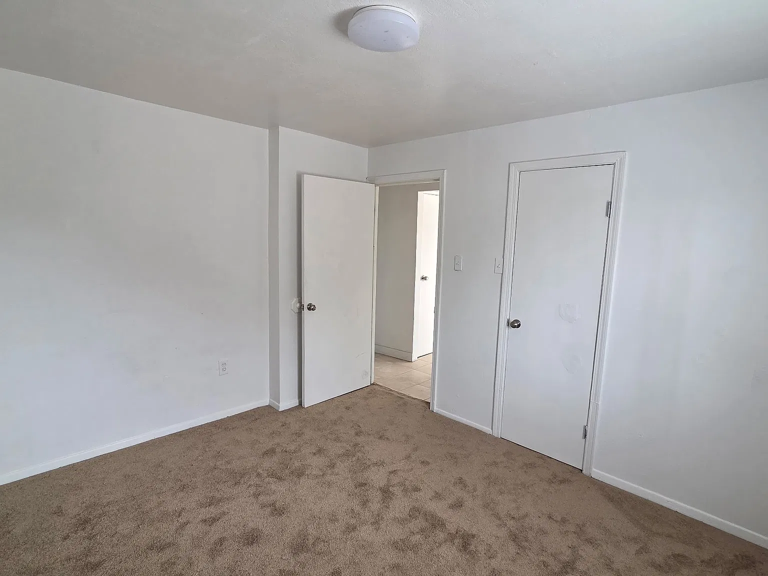 2 bed, 730 sqft, $1,000 — Photo 4