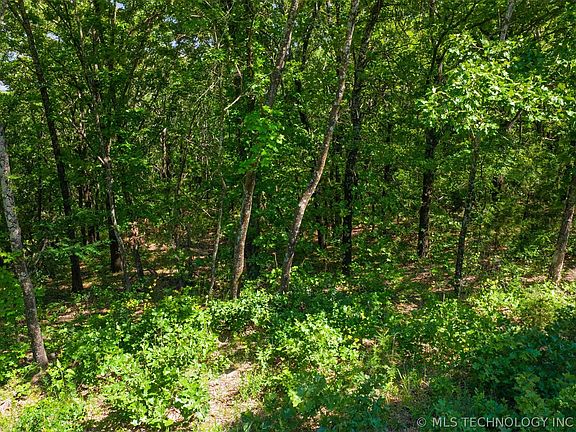 3rd image of 5295 Adams Rd