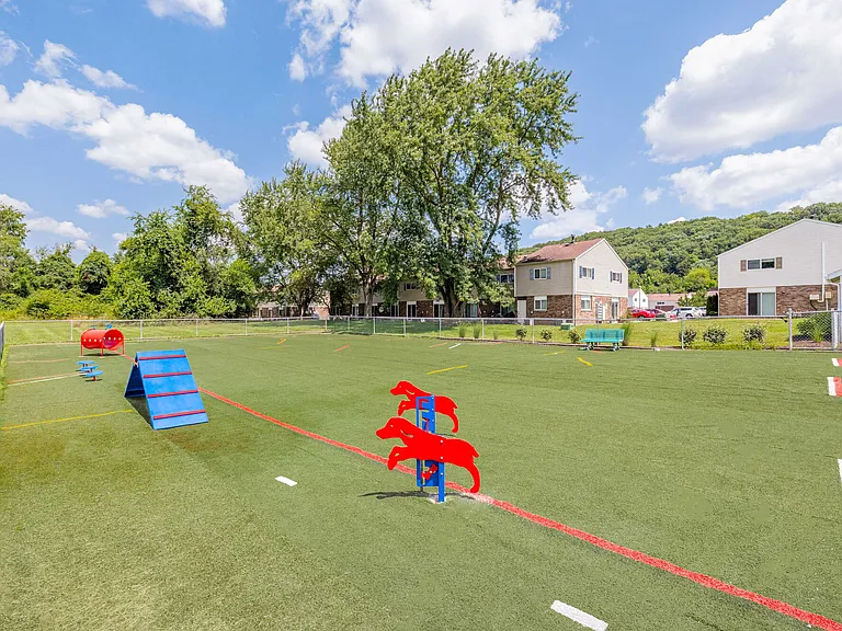Dog Park