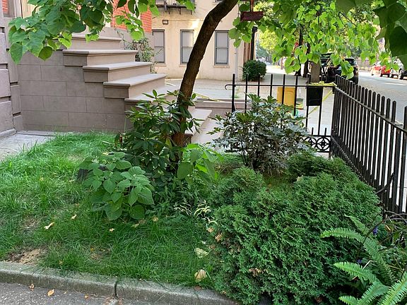Front yard.
