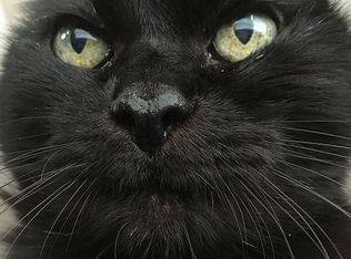 922 Fox Hollow Rd, Sequim, WA 98382