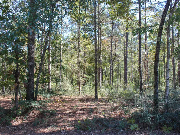 0 Marshall Pl, Petal, MS 39465