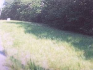 2nd image of 300 Honey Springs Rd