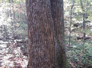 Deer Run Rd, Altamont, TN 37301