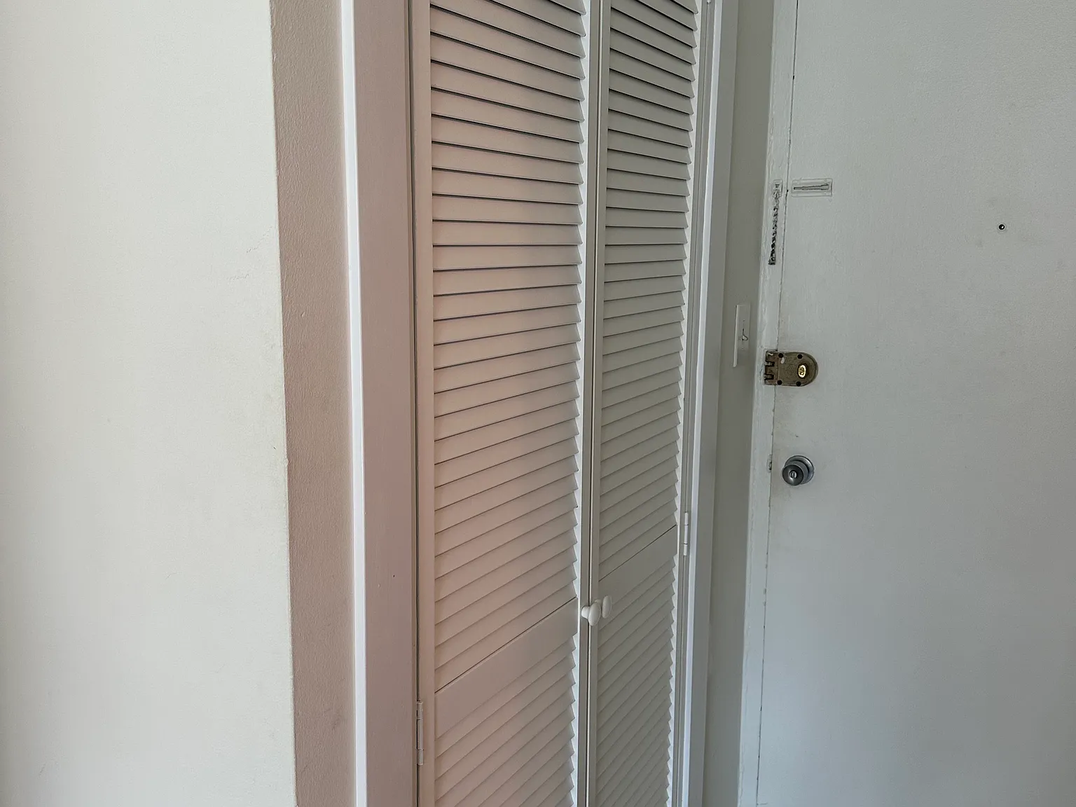 Studio, 504 sqft, $2,200 — Photo 4
