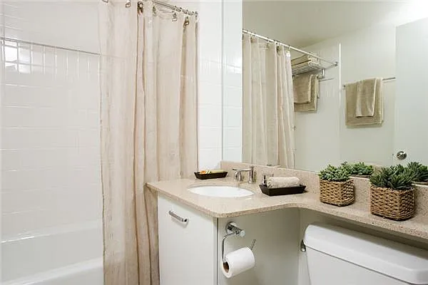 Rented by Nancy Packes Inc. | media 6