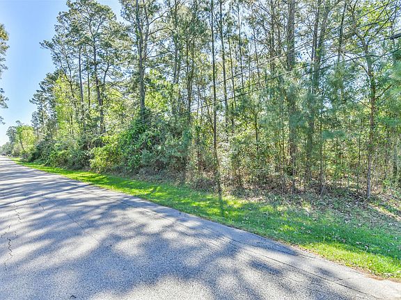 4th image of 1811 Black Bear Dr