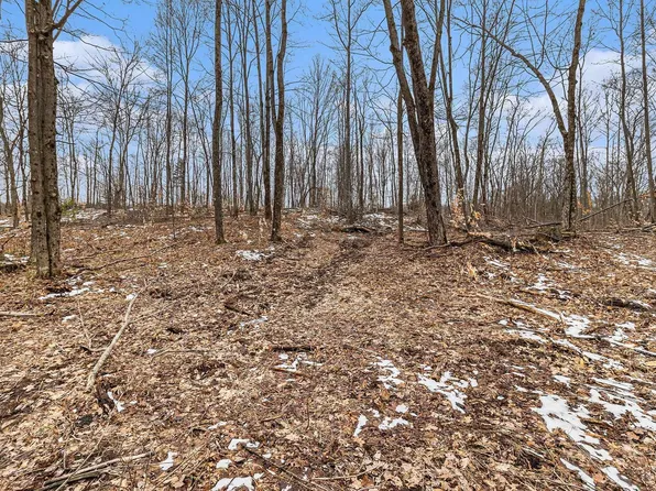 0 E Oakwood Trl, Reed City, MI 49677