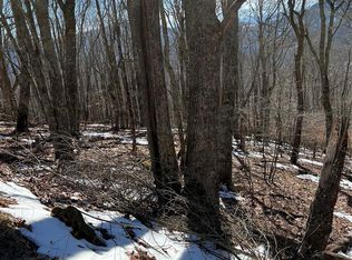 0 Tearshirt Ln #316, Mars Hill, NC 28754