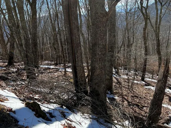 0 Tearshirt Ln #316, Mars Hill, NC 28754