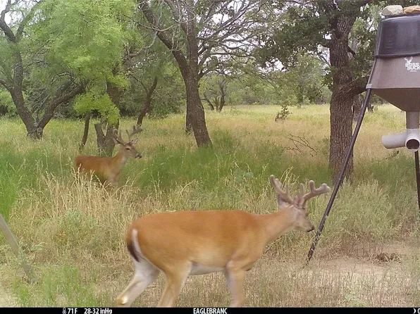 1002 Fm 1852, Eastland, TX 76448