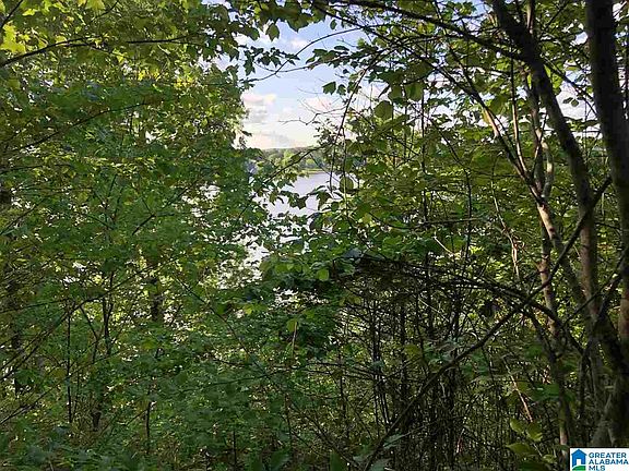 2nd image of Lots 18 19 Lakeland Hills Dr #18